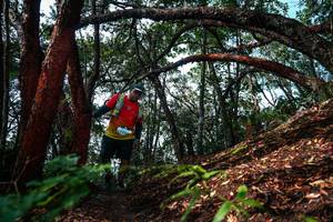 BIB: 
                            <button type="button" onclick="openModal(26346873)" class="btn btn-primary btn-sm float-right btn-popup" data-toggle="modal" data-target=".modal-high-quality">
                        <i class="fas fa-shopping-cart"></i> Add to Cart
                    </button>
                                            <button type="button" onclick="isThisMe(26346873, true)" class="btn btn-success btn-sm float-right btn-popup btn-isme hidden" data-toggle="tooltip" data-placement="bottom" title="นี่คือรูปของคุณใช่ไหม คลิกที่นี่เพื่อเอาเข้าอัลบั้ม">
                        <i class="fas fa-plus"></i> Add to album
                    </button>
                    <button type="button" onclick="isThisMe(26346873, false)" class="btn btn-warning btn-sm float-right btn-popup btn-isnotme hidden">
                        <i class="fas fa-ban"></i> Remove from album
                    </button>